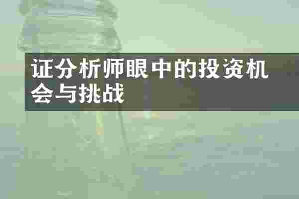 证刓分析师眼中的投资机会与挑战