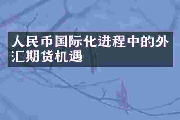 人民币国际化进程中的外汇期货机遇