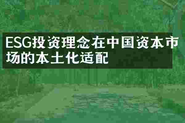ESG投资理念在中国资本市场的本土化适配