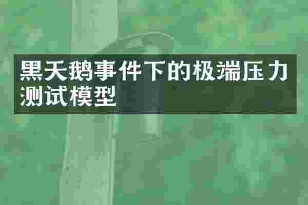 黑天鹅事件下的极端压力测试模型
