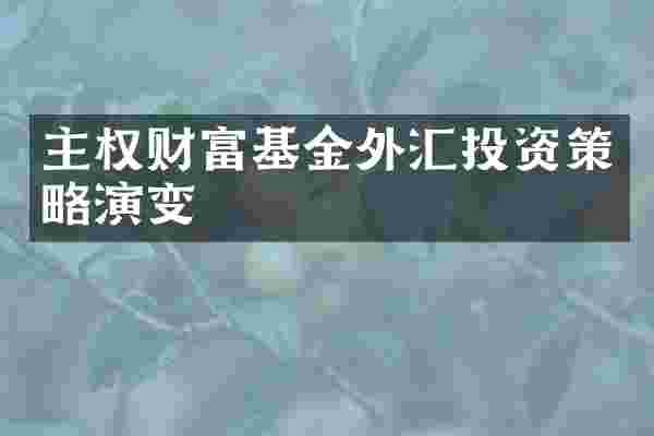 主权财富基金外汇投资策略演变