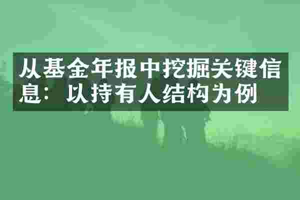 从基金年报中挖掘关键信息：以持有人结构为例