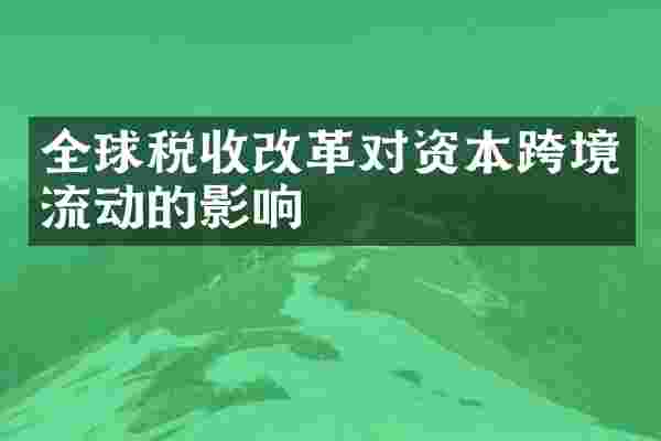 全球税收改革对资本跨境流动的影响
