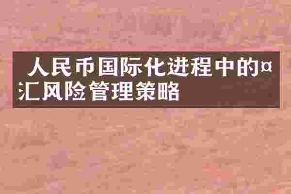  人民币国际化进程中的外汇风险管理策略