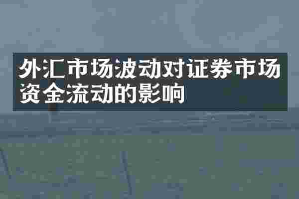 外汇市场波动对证券市场资金流动的影响