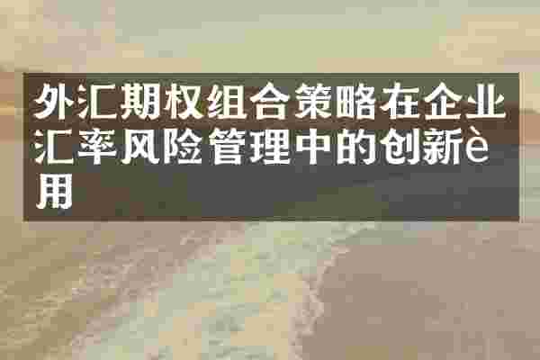 外汇期权组合策略在企业汇率风险管理中的创新运用