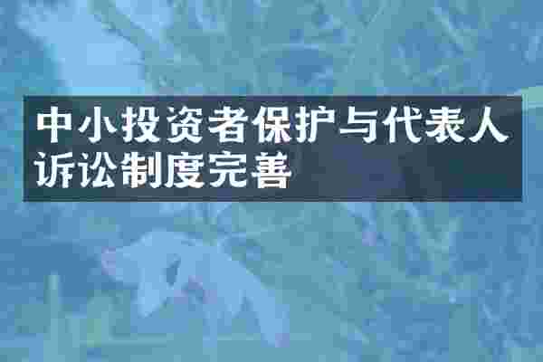 中小投资者保护与代表人诉讼制度完善
