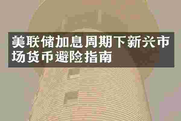 美联储加息周期下新兴市场货币避险指南