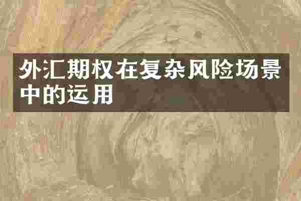 外汇期权在复杂风险场景中的运用