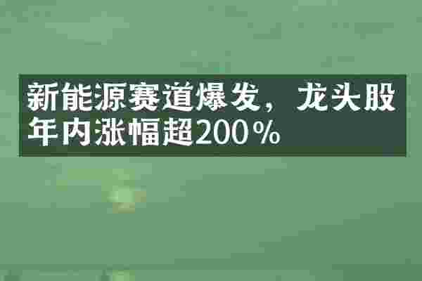 新能源赛道爆发，龙头股年内涨幅超200%
