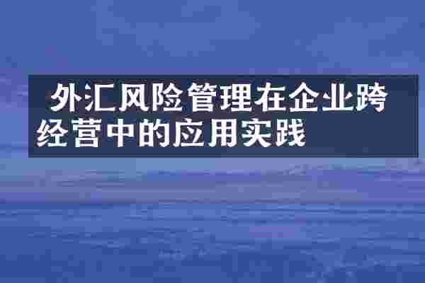 外汇风险管理在企业跨境经营中的应用实践